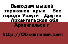 Выводим мышей ,тараканов, крыс. - Все города Услуги » Другие   . Архангельская обл.,Архангельск г.